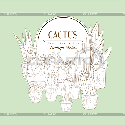 Bosquejo de la vendimia con Cactus | Ilustración vectorial de stock |ID 5629487