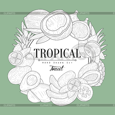 Tropische Früchte Vintage-Skizze | Stock Vektorgrafik |ID 5705965