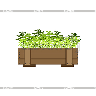 Plantas en embalaje de madera | Ilustración vectorial de stock |ID 5775889