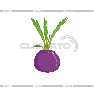 Remolacha fresca de color brillante | Ilustración vectorial de stock |ID 6021218