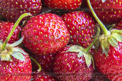 Bayas de fresa en imágenes de superficie completa | Foto de alta resolución |ID 6610255
