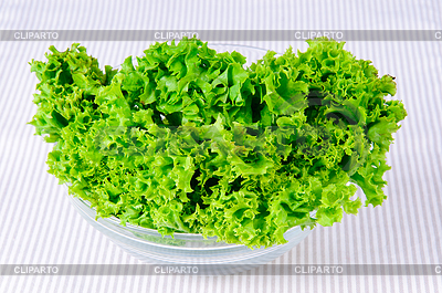 Frischer grüner Salat Blätter | Foto mit hoher Auflösung |ID 6024095